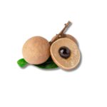 Longan