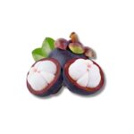 Mangosten