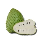 GRAVIOLA