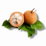 Santol