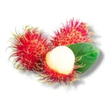 Rambutan