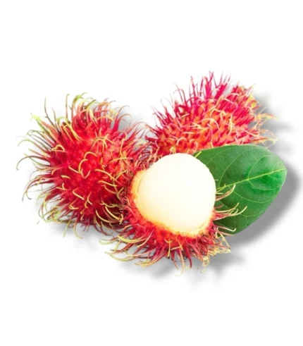 Rambutan
