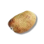 Chempedak