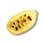 Paw Paw
