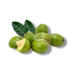 Ambarella