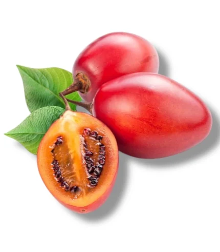 Tamarillo