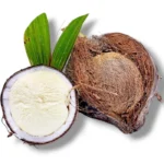 Tombong Coconut 1 Adet