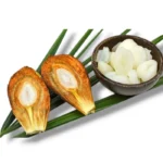 Nipa Palm Fruit
