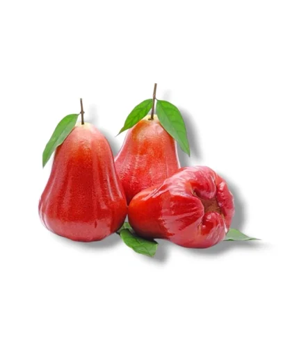 Mum Elması